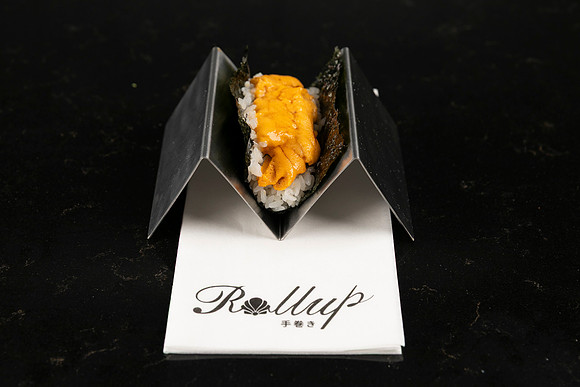 Rollup-250810DD4_8062