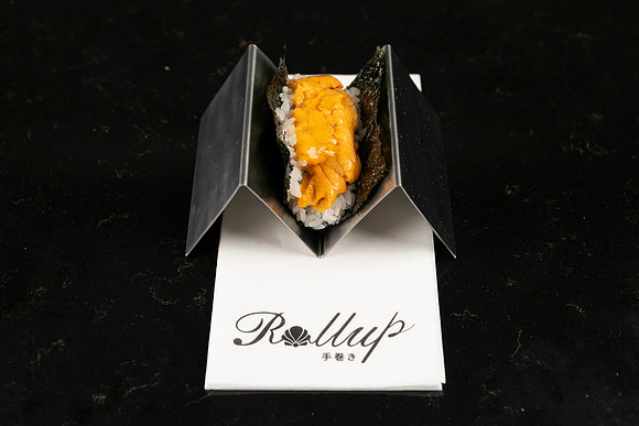 Rollup-250810DD4_8063