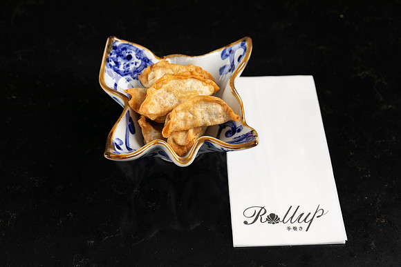 Rollup-250810DD4_7937