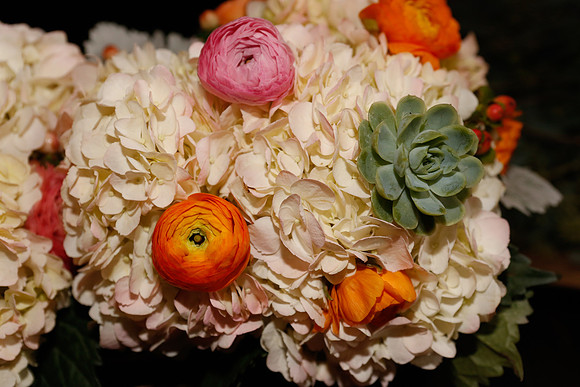 Amy&Ken__TK_0036