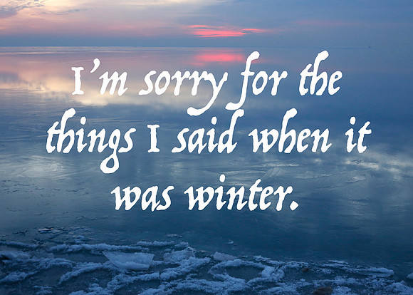 I'msorryforthethingsisaidwhenitwaswinter_TK_9748 copy