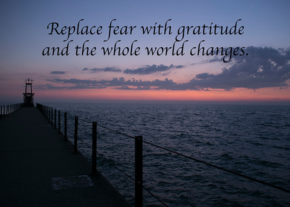 replacefearwithgratitude_MG_5557