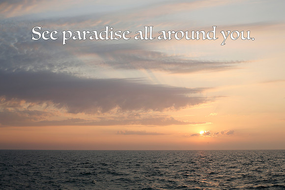 seeparadiseallaround_TK_0117