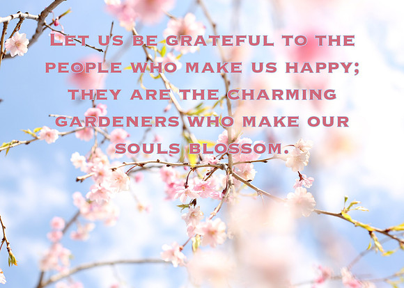letusbegrateful_STK_6199 copy