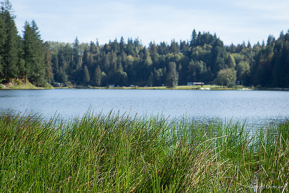 Washington-Lake-Tyee-Nature-Photography__MG_1569