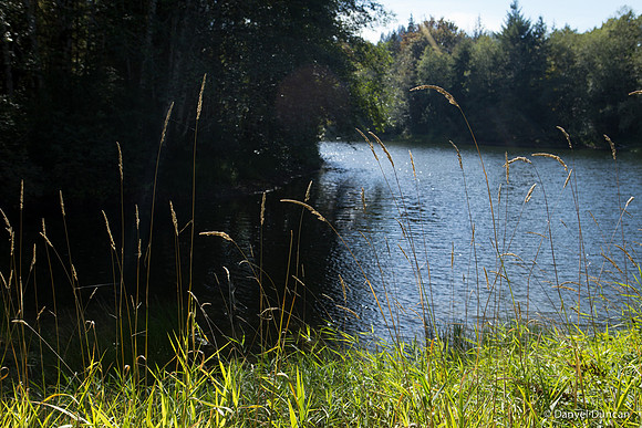 Washington-Lake-Tyee-Nature-Photography__MG_1581