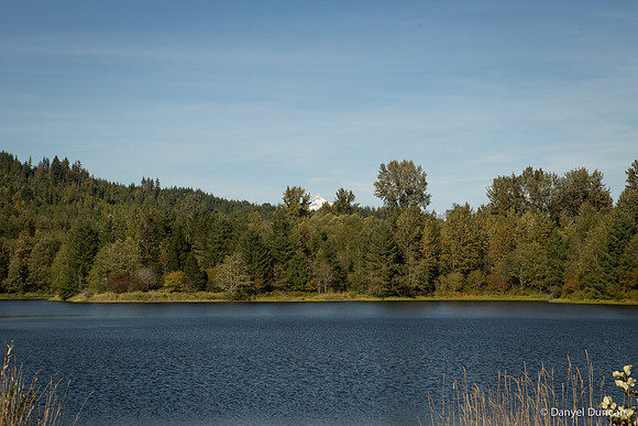 Washington-Lake-Tyee-Nature-Photography__MG_1636