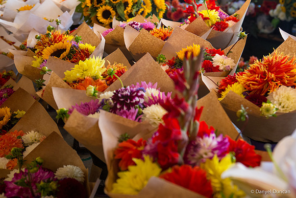 Seattle-Alki-Beach-Space-Needle-Pike-Place-Public-Market-Photography__MG_2068
