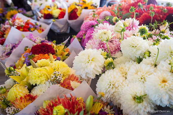 Seattle-Alki-Beach-Space-Needle-Pike-Place-Public-Market-Photography__MG_2078