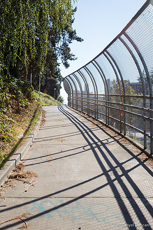 Seattle-Alki-Beach-Space-Needle-Pike-Place-Public-Market-Photography__MG_2132