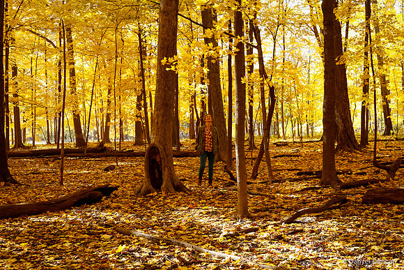 Thatcher-Woods-October_Chicago-Nature-Photography__MG_4398