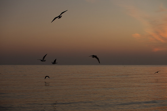 Lake-Michigan-Sunrise-Chicago-November-30th-2018__MG_2195