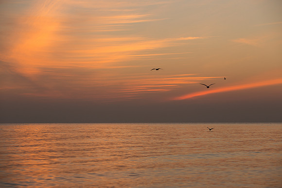 Lake-Michigan-Sunrise-Chicago-November-30th-2018__MG_2202