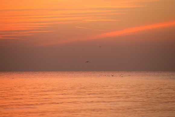Lake-Michigan-Sunrise-Chicago-November-30th-2018__MG_2176
