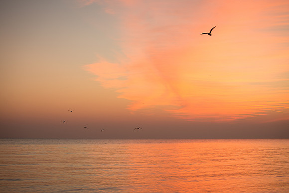 Lake-Michigan-Sunrise-Chicago-November-30th-2018__MG_2179