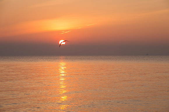 Lake-Michigan-Sunrise-Chicago-November-30th-2018__MG_2215