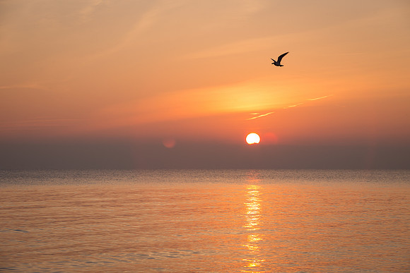 Lake-Michigan-Sunrise-Chicago-November-30th-2018__MG_2216