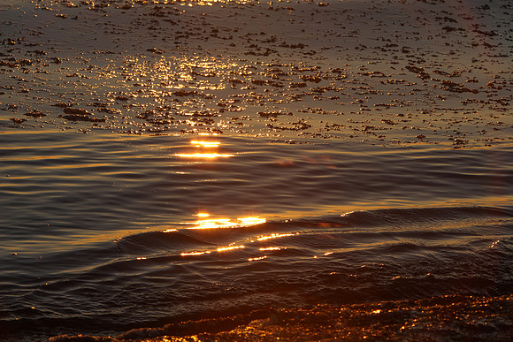 Illinois-Chicago-Lake-Michigan-Sunrise-Rogers-Park-December-10th-2018_RGS_4770