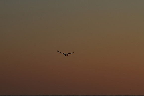 Illinois-Chicago-Lake-Michigan-Sunrise-Rogers-Park-December-10th-2018_RGS_4777