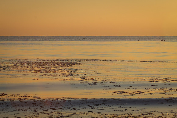 Illinois-Chicago-Lake-Michigan-Sunrise-Rogers-Park-December-10th-2018_RGS_4781