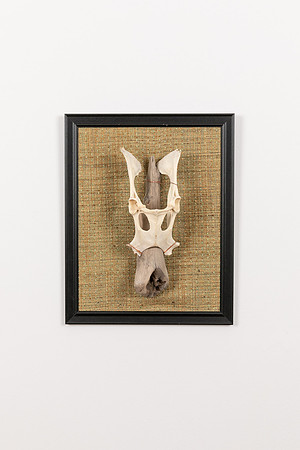 Skullptures-22DD4_0158