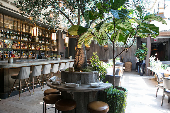 Tour-The-Trends-2019-IMG_7389
