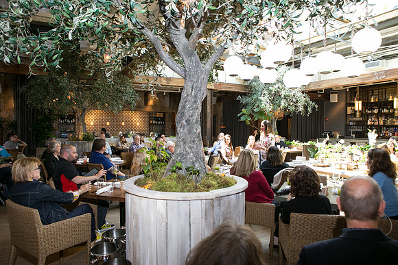 Tour-The-Trends-2019-IMG_7450