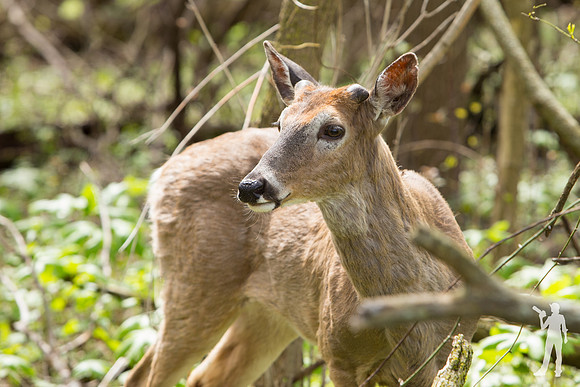 LaurenFleming-05-2019_IMG_9988