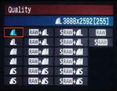 Screen Shot 2020-01-13 at 12.24.40 PM