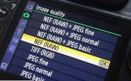 Screen Shot 2020-01-13 at 12.24.54 PM