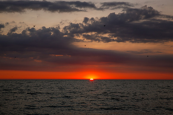 Chicago-Sunrise-05-16-2020-_TK_0225
