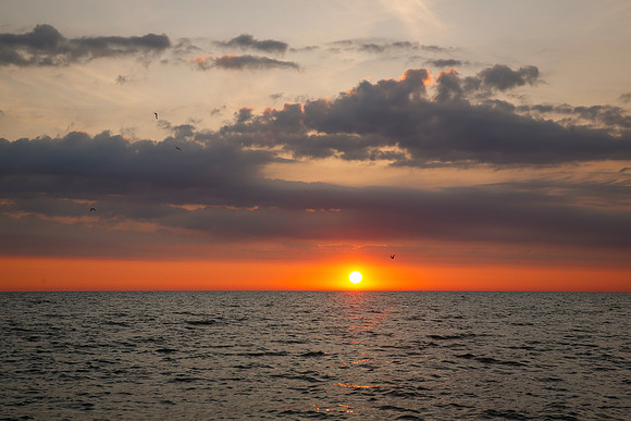 Chicago-Sunrise-05-16-2020-_TK_0589
