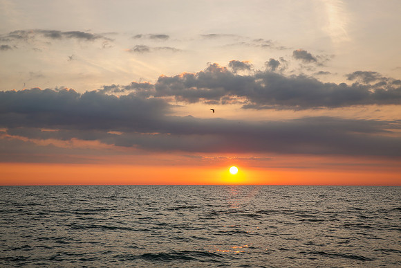 Chicago-Sunrise-05-16-2020-_TK_0802