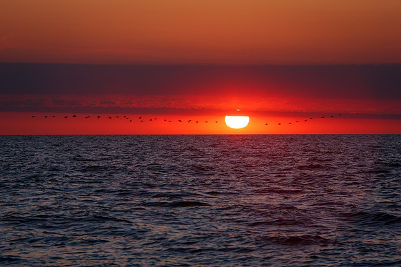 Chicago-Sunrise-05-13-2020-_TK_0494