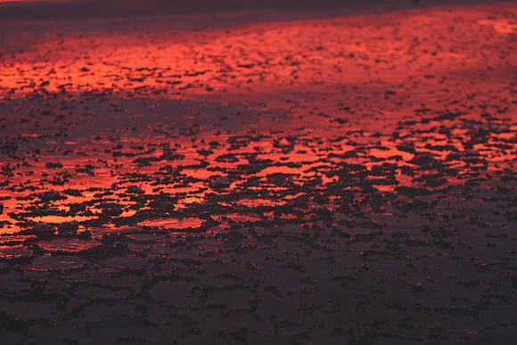 Sunrise-Chicago-01-19-2021-RGS_2060