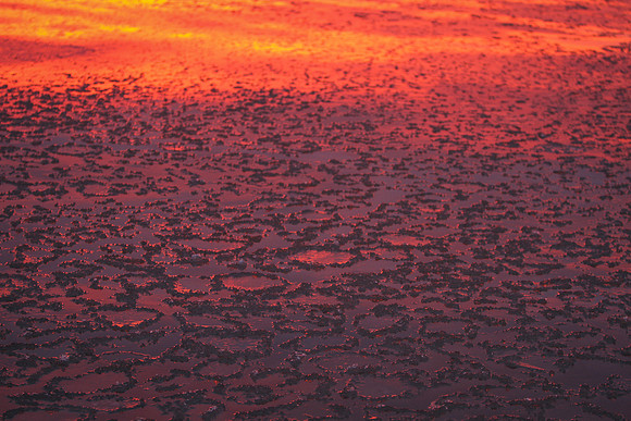 Sunrise-Chicago-01-19-2021-RGS_2062