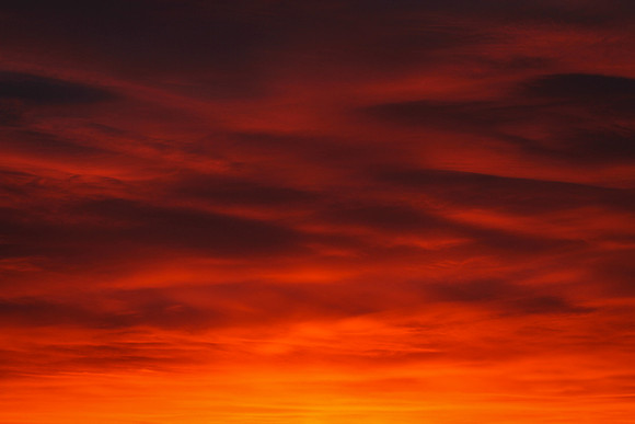 Sunrise-Chicago-01-19-2021-RGS_2069