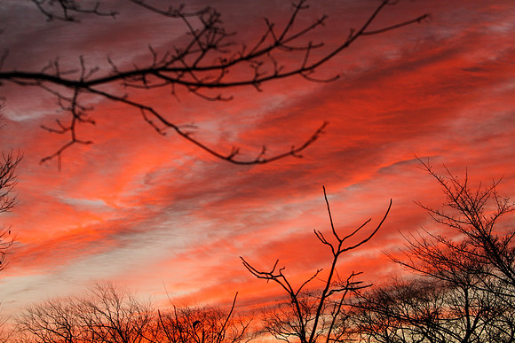 Sunrise-Chicago-01-21-2021-RGS_2376