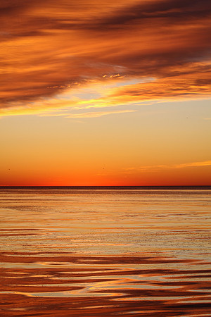 Sunrise-Chicago-01-21-2021-RGS_2410