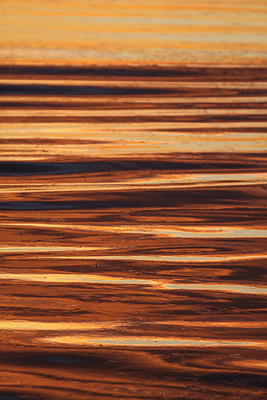 Sunrise-Chicago-01-21-2021-RGS_2416