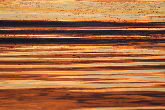 Sunrise-Chicago-01-21-2021-RGS_2415