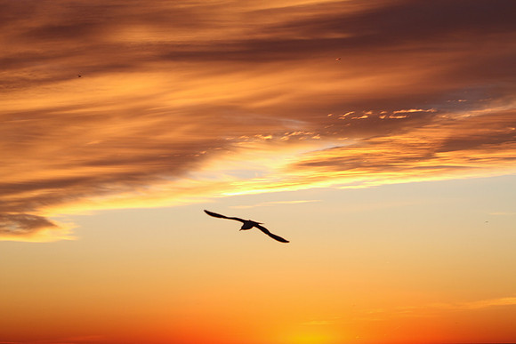 Sunrise-Chicago-01-21-2021-RGS_2421