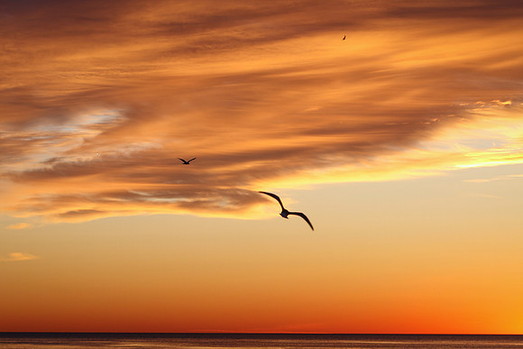 Sunrise-Chicago-01-21-2021-RGS_2422