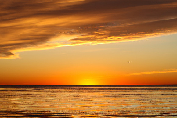 Sunrise-Chicago-01-21-2021-RGS_2431