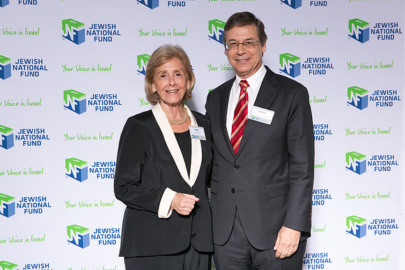 JNF_2016_09__TK_3017