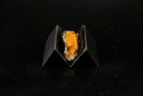 Rollup-250810DD4_8046