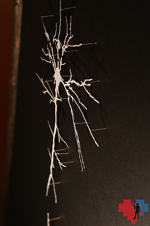 STK_9635