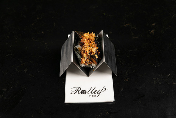 Rollup-250810DD4_7830