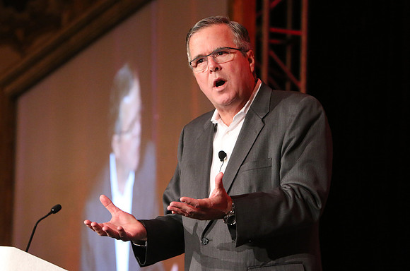 Jeb Bush