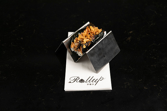 Rollup-250810DD4_7867